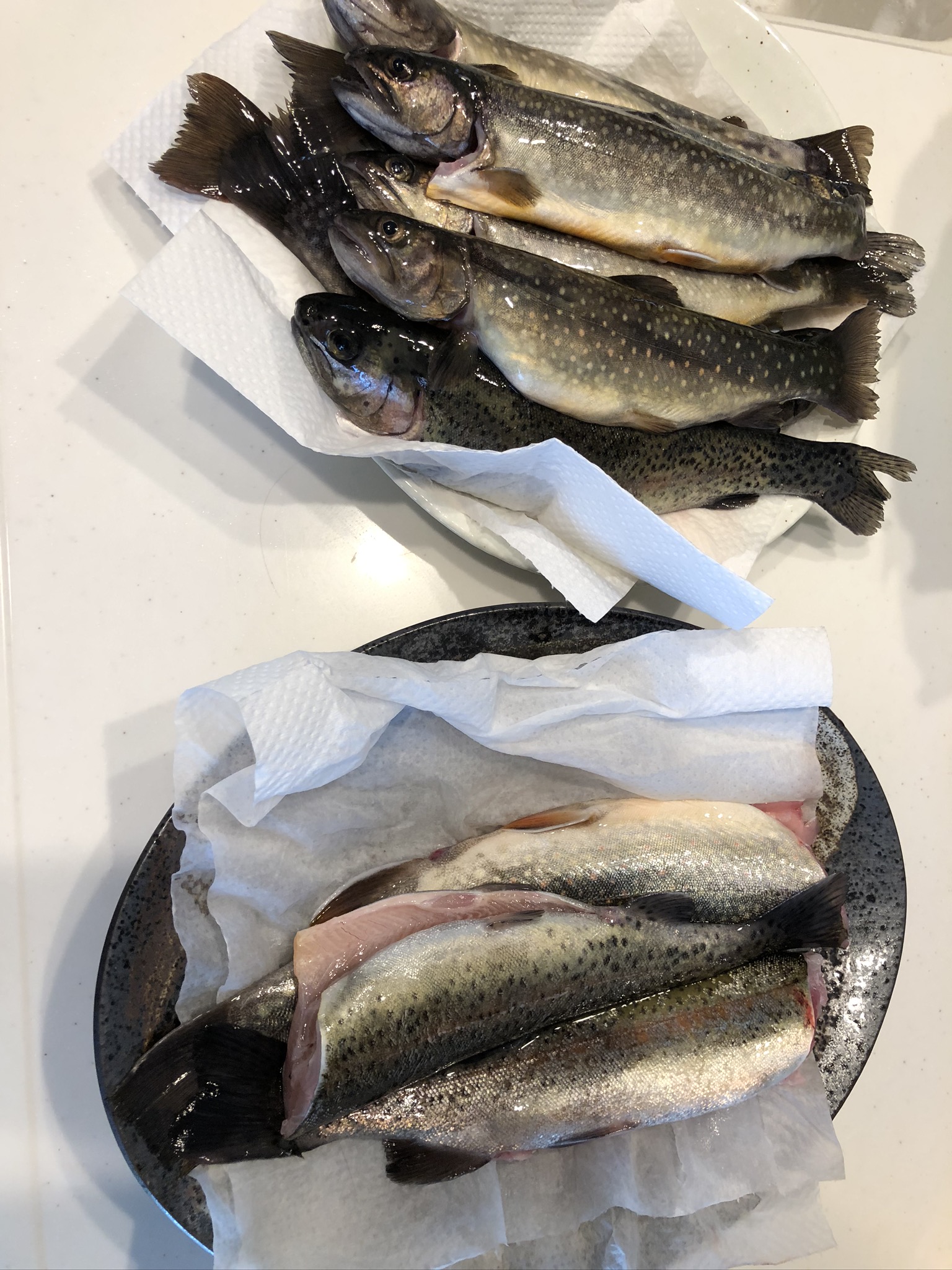 釣り堀によりますが、多くの釣り堀では釣れた数や重さに応じて料金がかかります。簡単に釣れるのが釣り堀のいいところですが、調子に乗って釣りすぎてしまうと想定外の出費