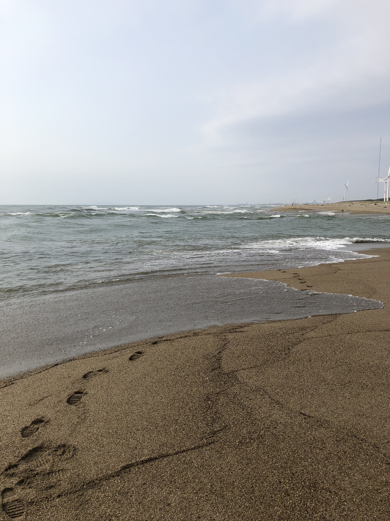 だだっ広いサーフで釣りをする時、多くの人はどこにキャストすれば魚が釣れるのかと悩むと思います。一般的に言われているのが「離岸流を探して狙え」です。 離岸流は遊泳