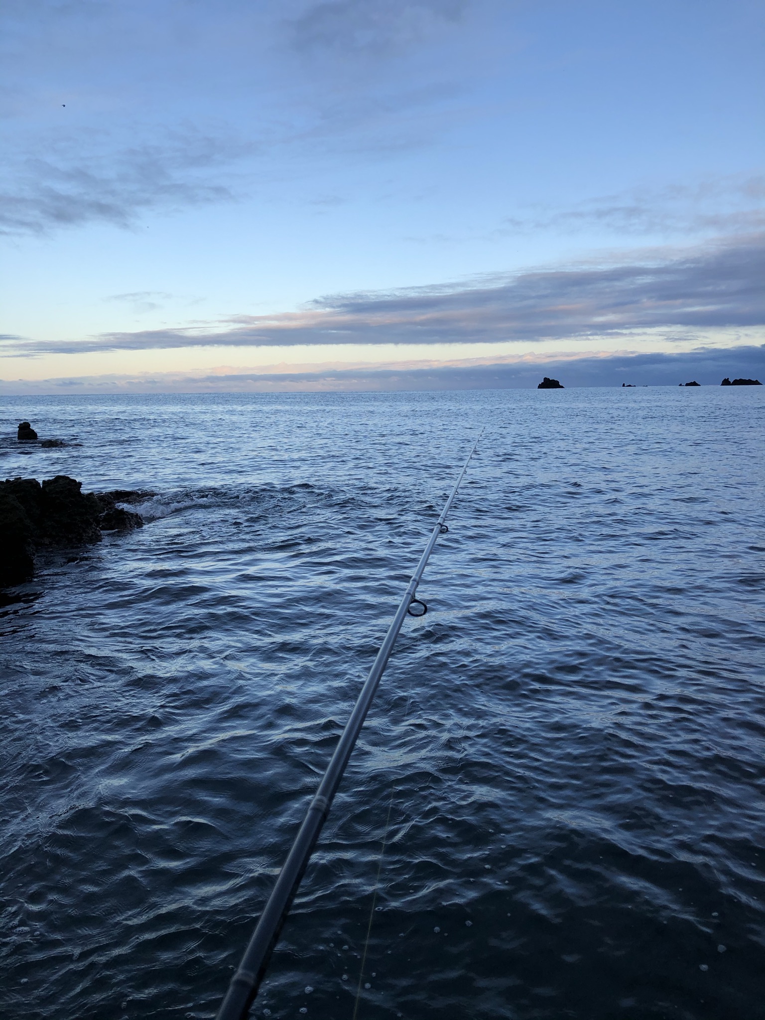 漁港や防波堤、船からの釣りが一般的ですが、沖堤防や地磯での釣りは一つレベルの高い釣りです。地磯はポイントへのエントリーにハードルがある分、釣り場が荒らされていな