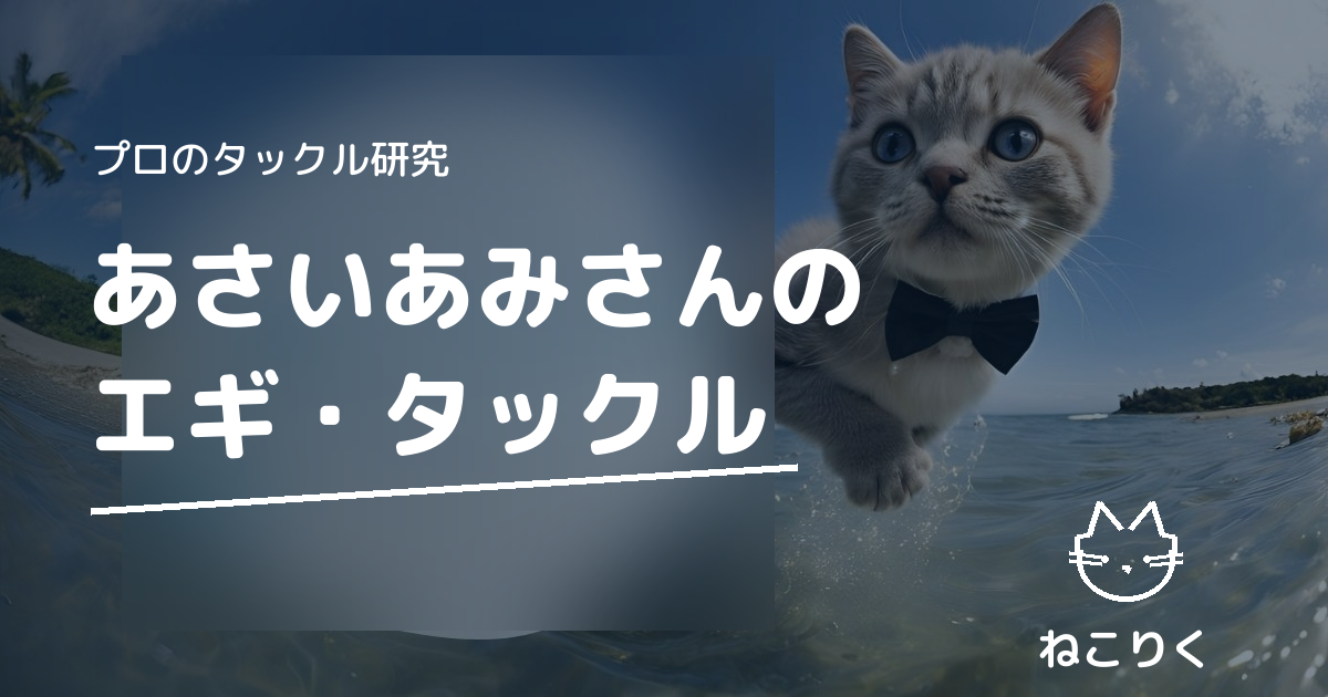 あさいあみさん（DUEL公式アングラー）のタックル｜本人出演動画で確認できるエギ・ライン