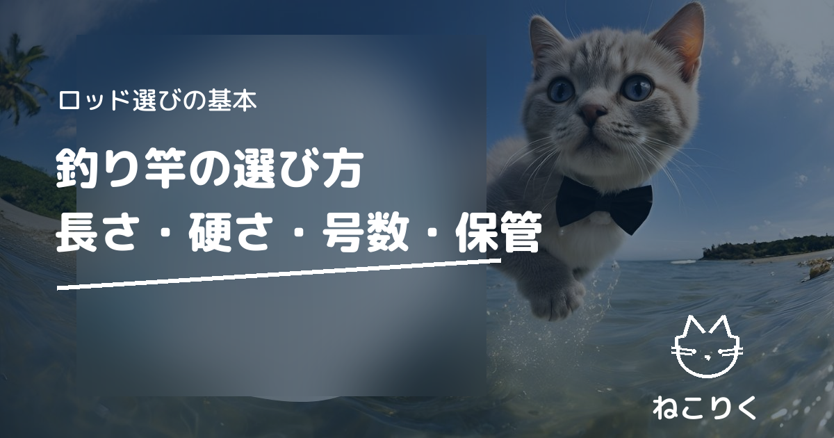 釣り竿の選び方｜長さ・硬さ・号数・保管まで