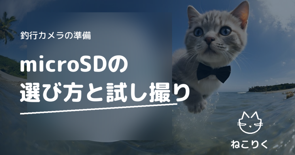 釣行用アクションカメラのmicroSDカード選び｜Osmo Action 5 Proで出発前に試し撮りする手順