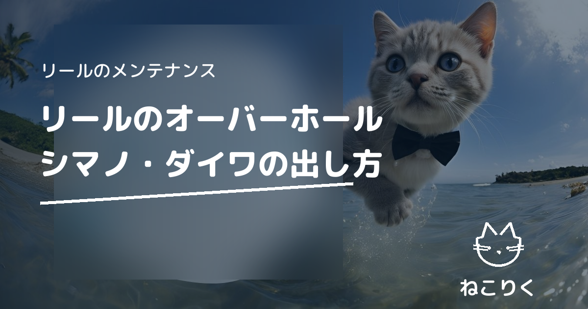 リールのオーバーホール｜シマノ・ダイワの依頼方法と古いリールの注意点