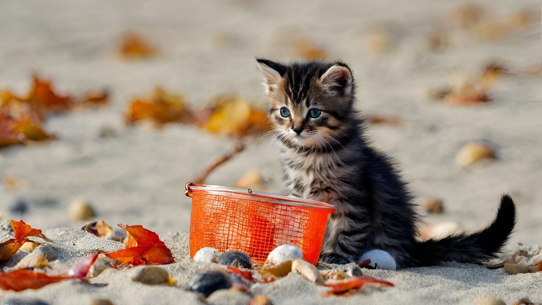 キャスティング