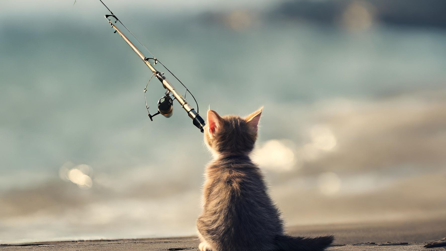 釣りに行く時間