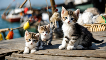 初心者の友達が釣具を