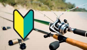 初心者の釣りセットの