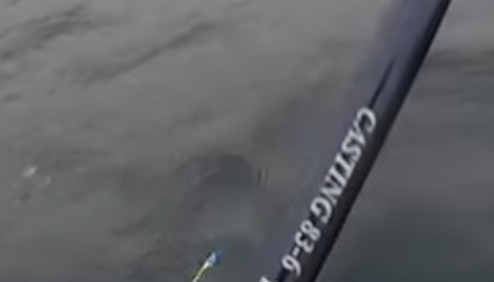 ロッドはダイワのソル