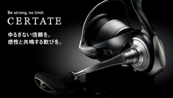 セルテートの剛性とリ