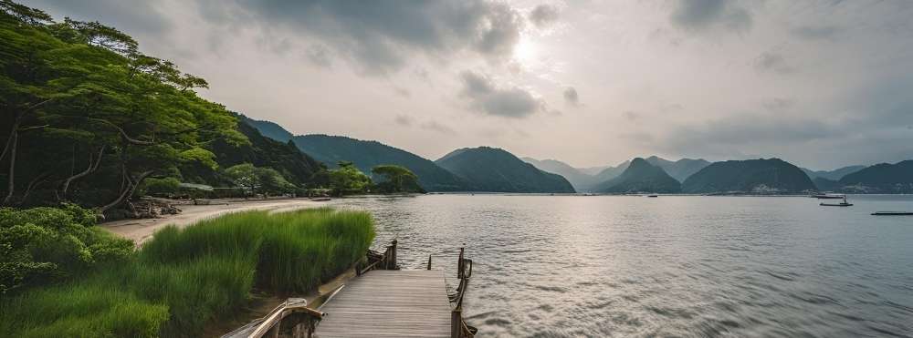 diego：イラスト画像