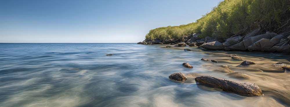 sakanakana：イラスト画像