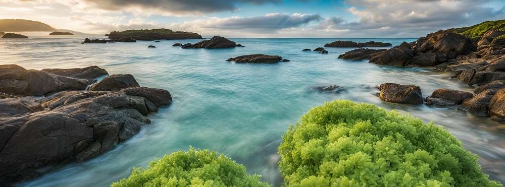 usagi2：イラスト画像