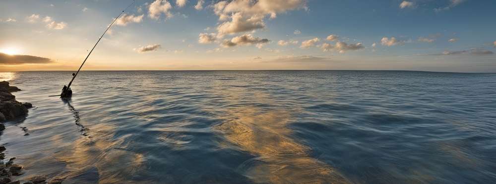 tobo：イラスト画像