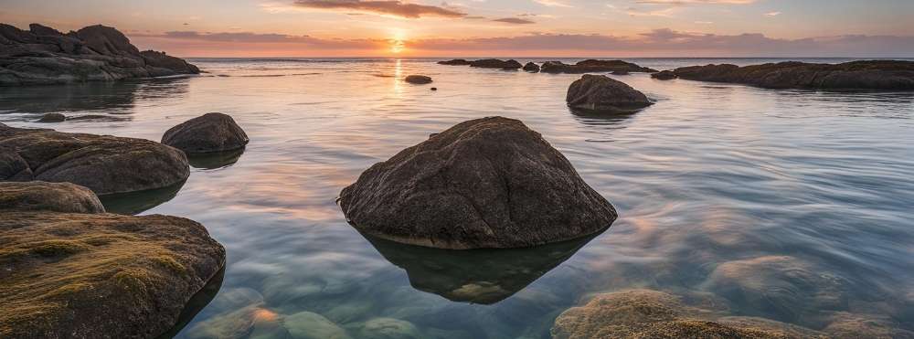 tamani-777：イラスト画像