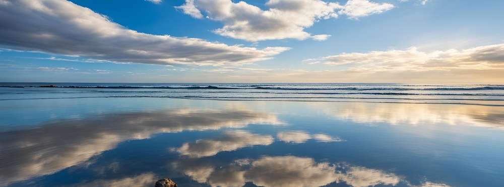 fish_tokyo_youth：イラスト画像