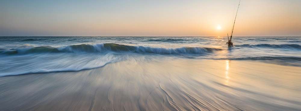 papa_fisher：イラスト画像